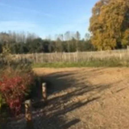 Séjour à la campagne Près Du Circuit Du Mans, 12 Pers., 5 Ch., Rénové Avec 3 Sdb, Nature Et Attractions Proches - Fr-1-410-342 Yvré-lʼÉvêque