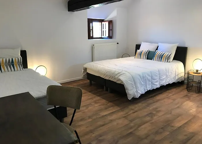 Près Du Circuit Du Mans, 12 Pers., 5 Ch., Rénové Avec 3 Sdb, Nature Et Attractions Proches - Fr-1-410-342 *